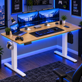 Electric Adjustable Gaming Desk